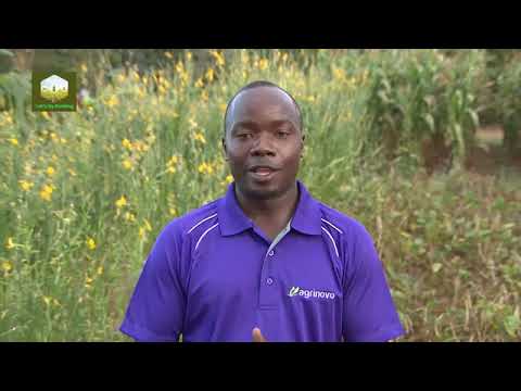 2025 5th Annual Field Day Manyika Farm