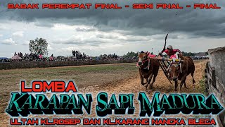 Madura Bull Race Competition Rosep Village And Karang Nagka Blega Village Anniversary At Anak Aj