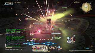 木人討滅 律動零式3 モンクIL222(DPS約1777)