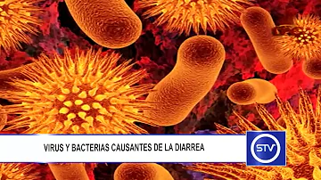 ¿Qué virus causa la diarrea acuosa?