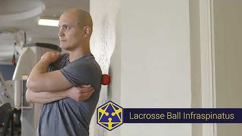 Lacrosse Ball Infraspinatus - Tensegrity Exercise Library