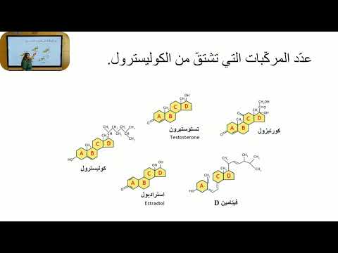 فيديو: كيف يمكن أن تنشأ المادة الحية على كوكبنا