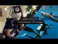 8 TIPS FOR CINEMATIC UNDERWATER FOOTAGE WITH YOUR ACTION CAMERA