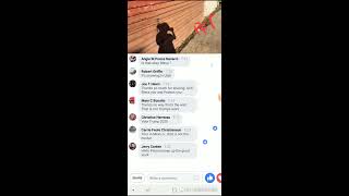 Raw Footage- Tijuana Border Fence Construction And Illegals Waiting To Cross Border-Paloma For Trump