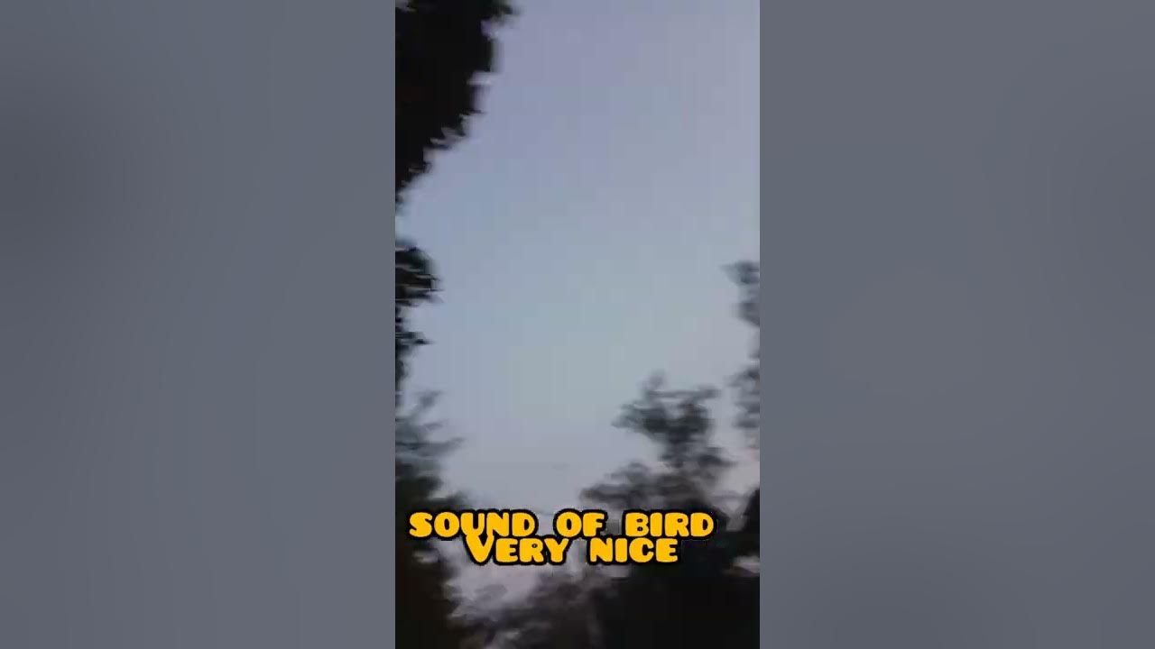 evening time taffy ka badmashi👻.... YouTube