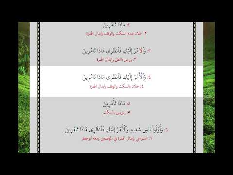 قالوا نحن أولو قوة وأولو بأس شديد والأمر إليك فانظري ماذا تأمرين 33 بالقراءات العشر الصغرى آية