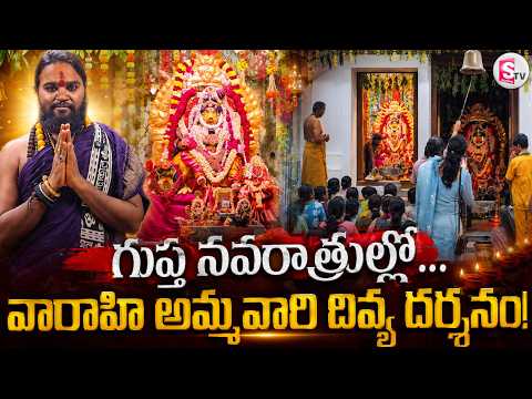 ఈ దర్శనం మిస్ అవొద్దు |Divine Varahi Devi Darshan During Gupta Navaratri | Sri Rajarajeshwari Temple
