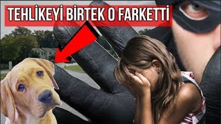 Küçük Kıza Ailesi Tarafından Hediye Edilen Sevimli Köpek Bakın Onu Nasıl Bir Tehlikeden Korudu