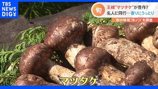 秋の味覚「キノコ」マツタケ＆たもぎ茸＆生キクラゲ　おいしい食べ方は？｜TBS NEWS DIG