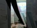 شقة شارع محسن 330 ألف شقة شارع محسن 330 ألف