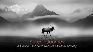 Pure Tranquility Journey: The Ultimate Stress-Relief Experience