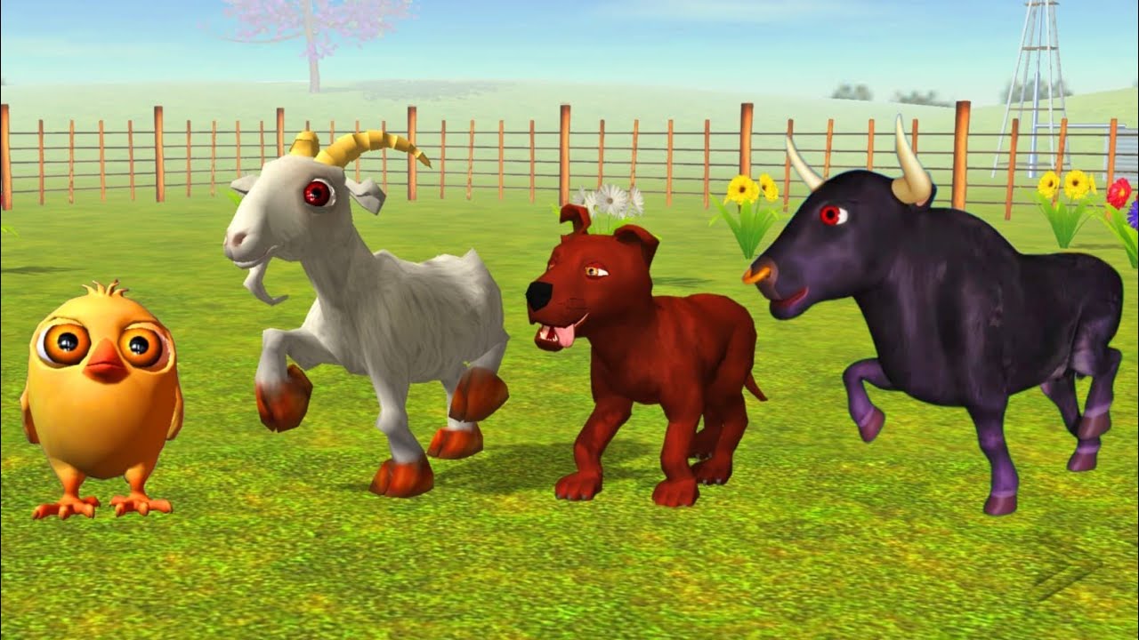 El Pollito y El Tractor 3D El pollito y dainasuair El Toro y Tractor La ...