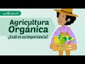 Agricultura orgnica una alimentacin saludable  agroclips