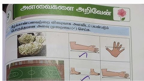 EE 3rd std malar maths workbook answers | 3rd maths term 1 unit 9 workbook answers Tamil medium 