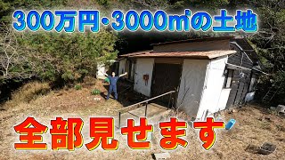 約300万円で購入した約3000㎡の小屋暮らし予定地大公開【空き家・庭・農地・山林】