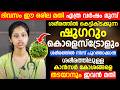 ഷുഗറും കൊളെസ്ട്രോളും ശരീരത്തിൽ നിന്ന് പുറത്താക്കാൻ ഈ ഒരില മതി Dr Arya