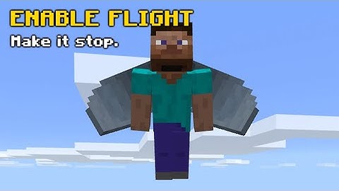 How To Enable Flight on a Minecraft Server