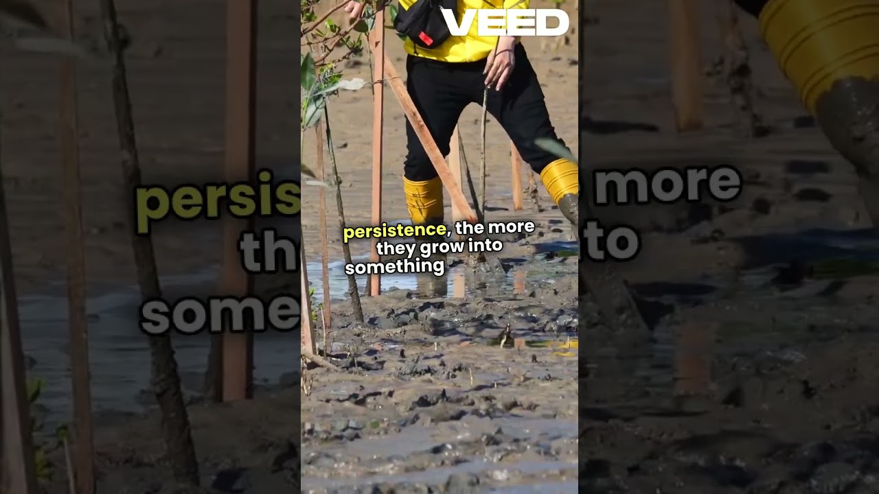 Create Your Own Opportunities:Embrace Hard Work! 