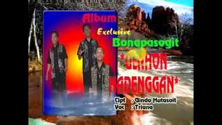 Ulahon Ma Nadenggan cipt: Gindo hutasoit vocal Triana ( )