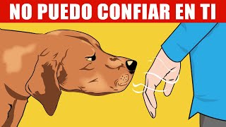 Cómo Los Perros Pueden Reconocer a Una Mala Persona y Otras Increíbles Habilidades Caninas Explica