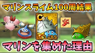 【ドラクエタクト】マリンスライム収集が今熱いんです！【無課金攻略】