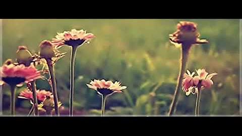 تلاوة هادئة  تريح القلب .. صوت هادئ رائع ♥♥