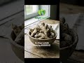 Dry Ginger available #ginger #spices #nilgiris #nilgiris #organic