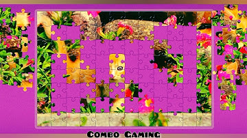 puzzle #812 gameplay || hd nature+cat jigsaw puzzle || @combogaming335