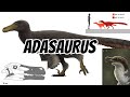Dinosaur Species –Adasaurus Facts, Size & Behavior