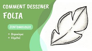 Comment dessiner le tangle Folia 