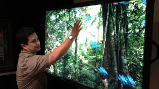 Prueba Pantalla Touch Software Movimiento screenshot 4