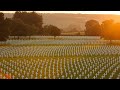 Capture de la vidéo Henri-Chapelle American Cemetery