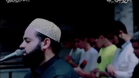 تلاوة من خواتيم سورة القصص 🤍برواية خلف عن حمزة ♥️♥️