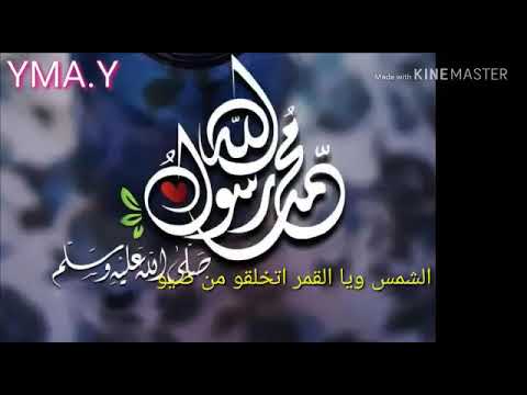 فى حضره المحبوب وائل جسار