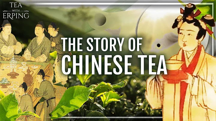 The Story of Chinese Tea: Behind the world’s favorite beverage | Tea with Erping - DayDayNews