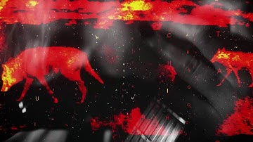 Cyan Insane - Learn to fight alone Official Musicvideo