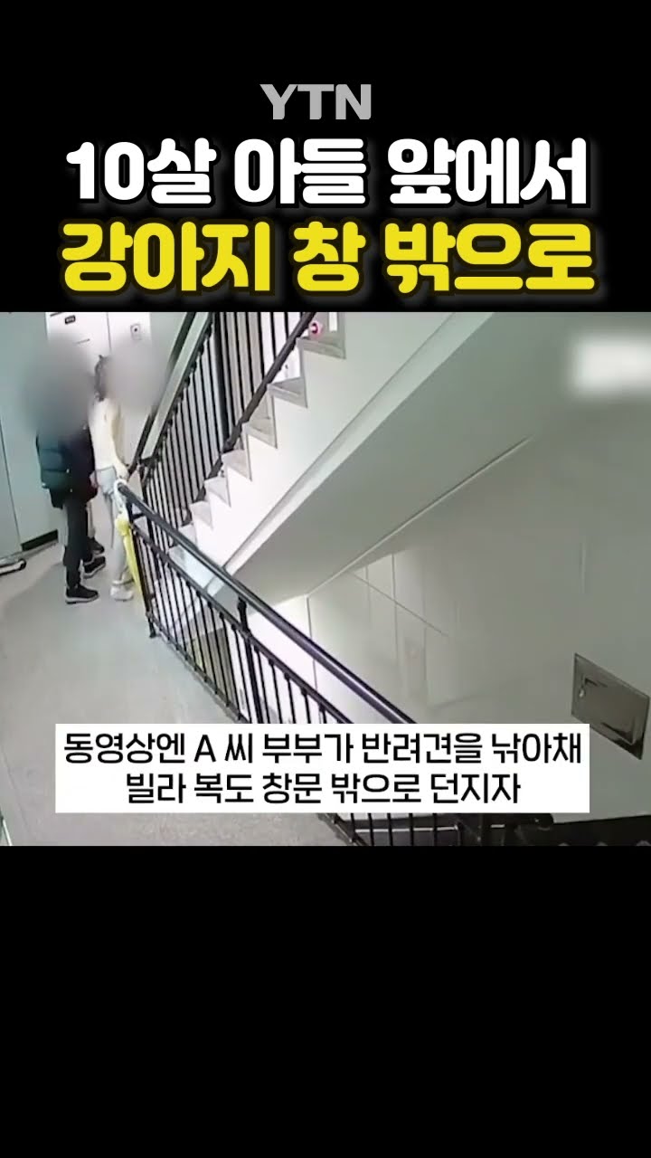 반려견 창 밖으로 던진 부모 #shorts / YTN