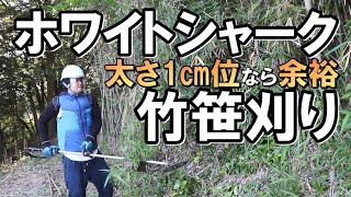 草刈り｜草刈機にホワイトシャークをつけて竹笹刈り｜山開拓の続き