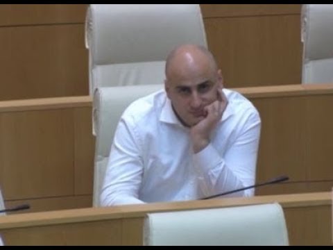 ნიკა მელია არ დაიჭირეს - წაართმევენ თუ  არა  დეპუტატის მანდატს