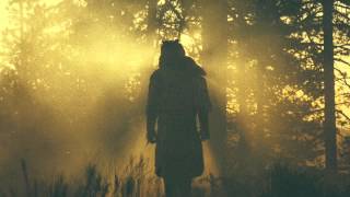 Thundercat - 'Where The Giants Roam / Field of the Nephilim' chords