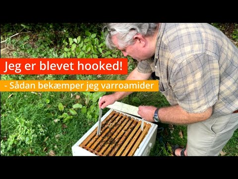 Biavl: Tid til varroabekæmpelse
