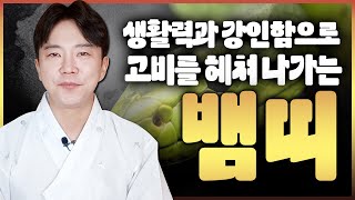 11월 뱀띠 운세