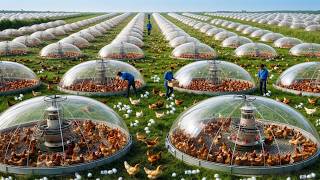 China’s Mind-Blowing Agriculture — Farming Without Land!