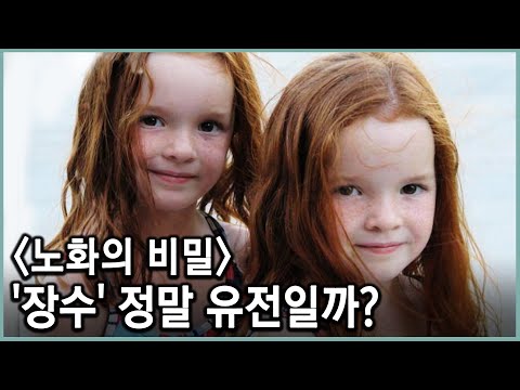 조선시대 내시가 양반보다 13년 더 살았다? 장수의 진짜 조건은 무엇일까 (KBS_2012.12.01 방송)