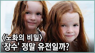 조선시대 내시가 양반보다 13년 더 살았다? 장수의 진짜 조건은 무엇일까 (KBS_2012.12.01 방송)