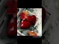 ياعود الخيزران