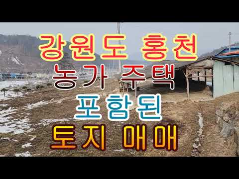 <strong>강원도</strong> 홍천 <strong>농가주택</strong> 포함된 토지 매매 1505(455평)9100만