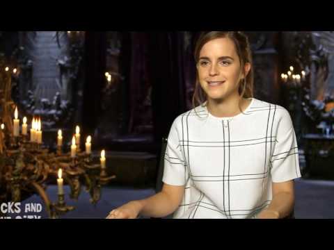 მზეთუნახავი და ურჩხული - მაესტროს სიუჯეტი