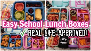 Easy School Lunch Box | Real Life Ideas for Picky Eaters Why Your Kid S Lunchbox Keeps Coming Home Full Schoollunchideas Pickyeater