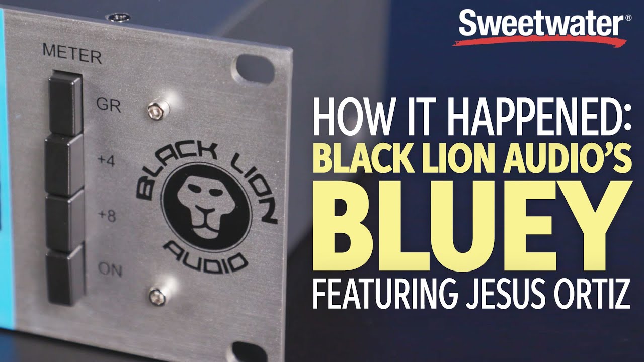 How It Happened Black Lion Audio s Bluey YouTube
